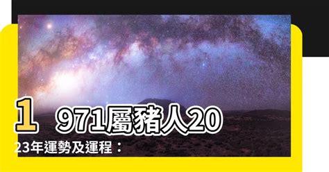 2023 豬運勢|【豬】2023 生肖整體運勢